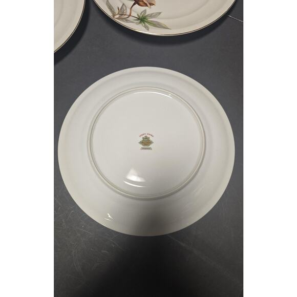 Meito China White China Woodrose Dinner Plates Set Of 5 Japan Floral Pattern - Picture 8 of 9